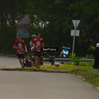 Runner Photo 8004120