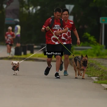 Runner Photo 8004123