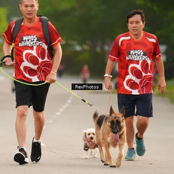 Runner Photo 8004125