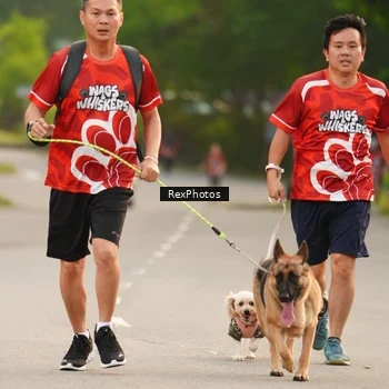 Runner Photo 8004126