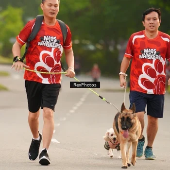 Runner Photo 8004128