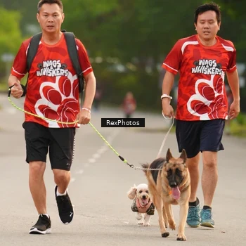 Runner Photo 8004129
