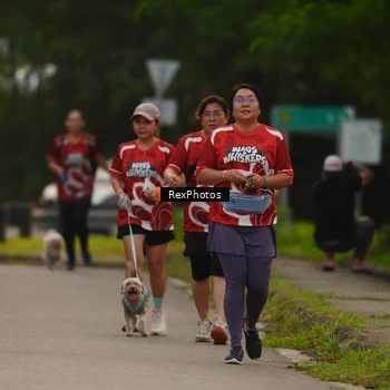 Runner Photo 8004142