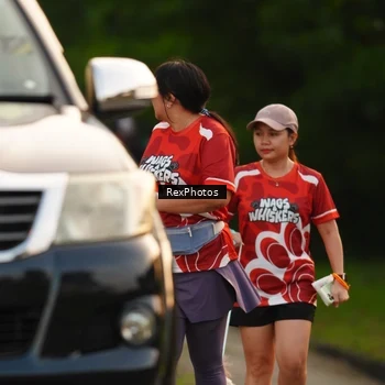 Runner Photo 8004143
