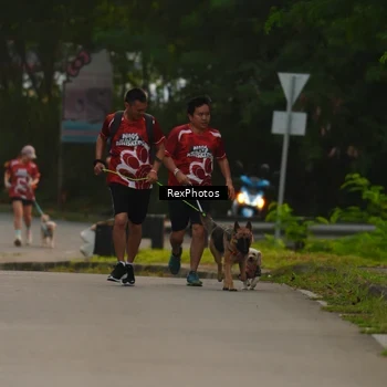 Runner Photo 8004147