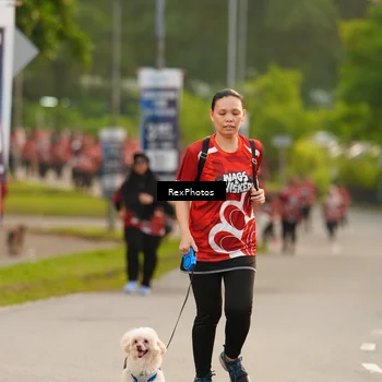 Runner Photo 8004154