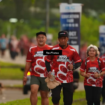Runner Photo 8004166