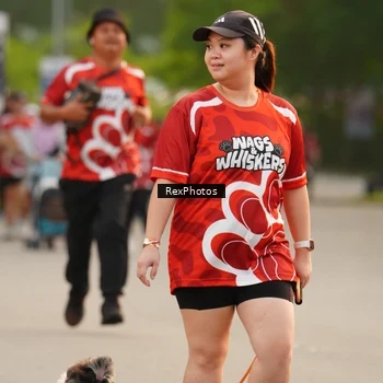 Runner Photo 8004211