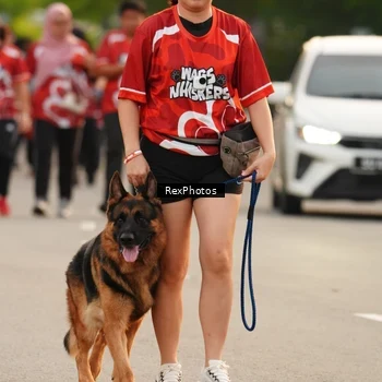 Runner Photo 8004242