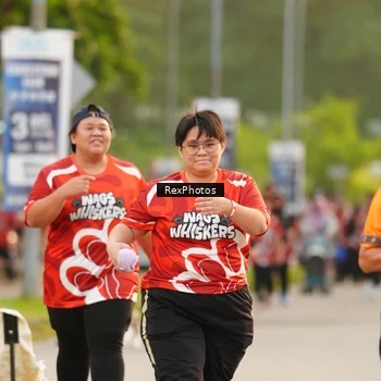Runner Photo 8004243