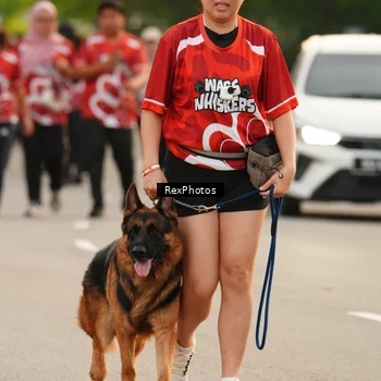 Runner Photo 8004247