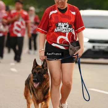 Runner Photo 8004250