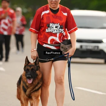 Runner Photo 8004251