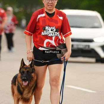Runner Photo 8004255
