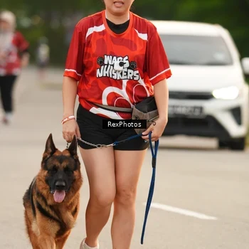 Runner Photo 8004256