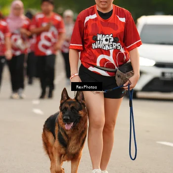 Runner Photo 8004273