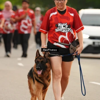 Runner Photo 8004275