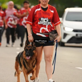Runner Photo 8004282