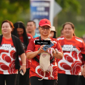 Runner Photo 8004352