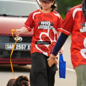 Runner Photo 8004535