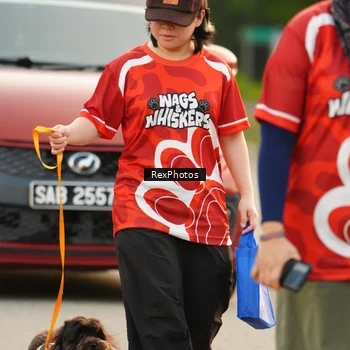 Runner Photo 8004557