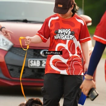 Runner Photo 8004640