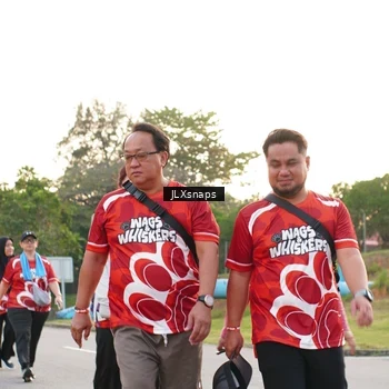 Runner Photo 8006466