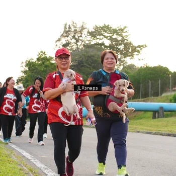 Runner Photo 8006468