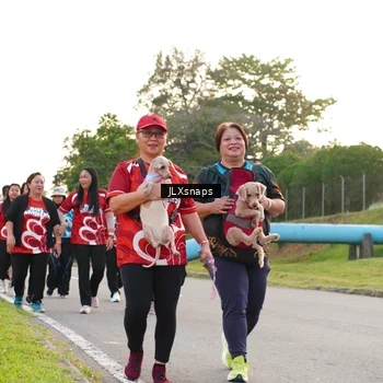 Runner Photo 8006469
