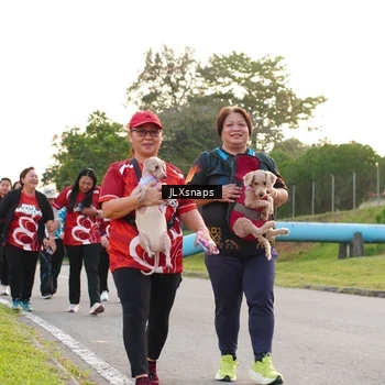 Runner Photo 8006471