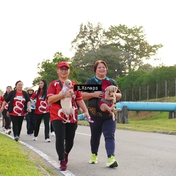 Runner Photo 8006474