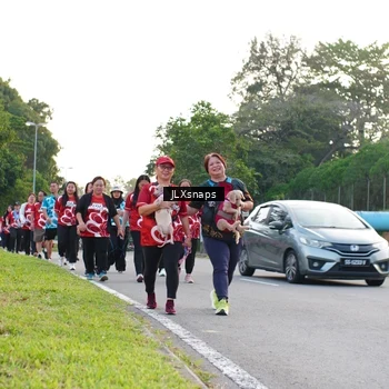 Runner Photo 8006476