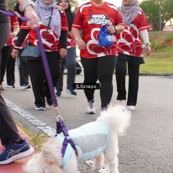 Runner Photo 8006494
