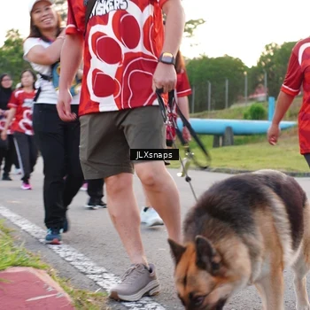 Runner Photo 8006510