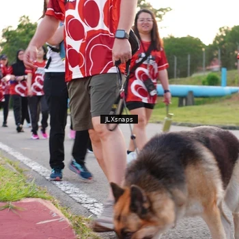 Runner Photo 8006512