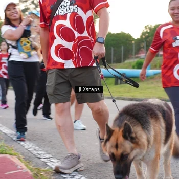 Runner Photo 8006516