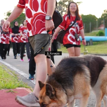 Runner Photo 8006517