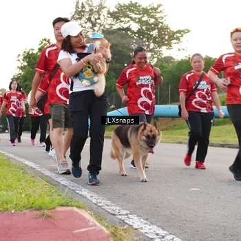 Runner Photo 8006523