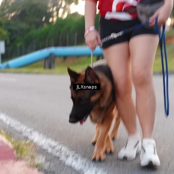 Runner Photo 8006798
