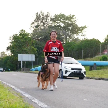 Runner Photo 8006809