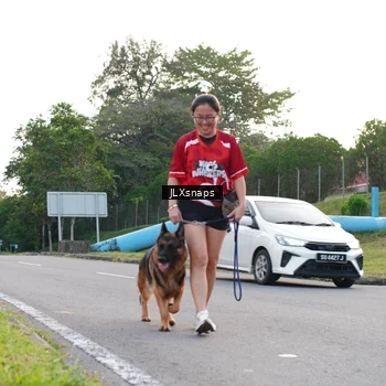 Runner Photo 8006814