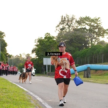 Runner Photo 8006821