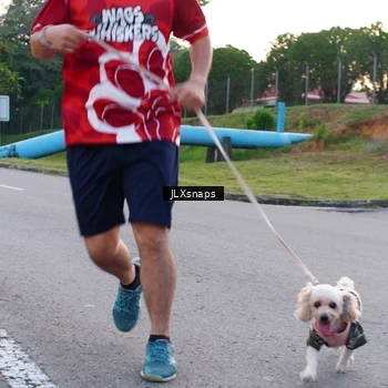 Runner Photo 8006952