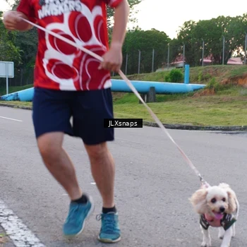 Runner Photo 8006954