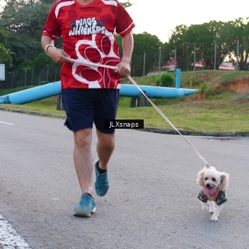 Runner Photo 8006960