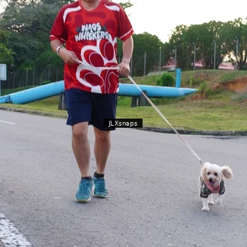 Runner Photo 8006961
