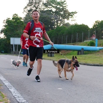 Runner Photo 8006964