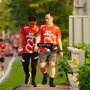 Runner Photo 8007022