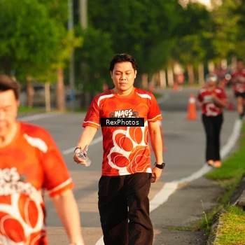 Runner Photo 8007634