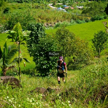 Runner Photo 80081